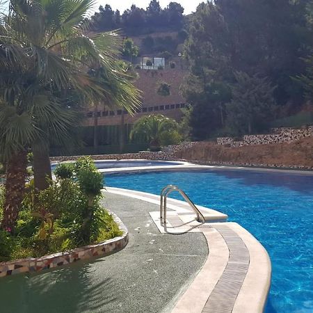 Apartamento Benidorm Viena المظهر الخارجي الصورة